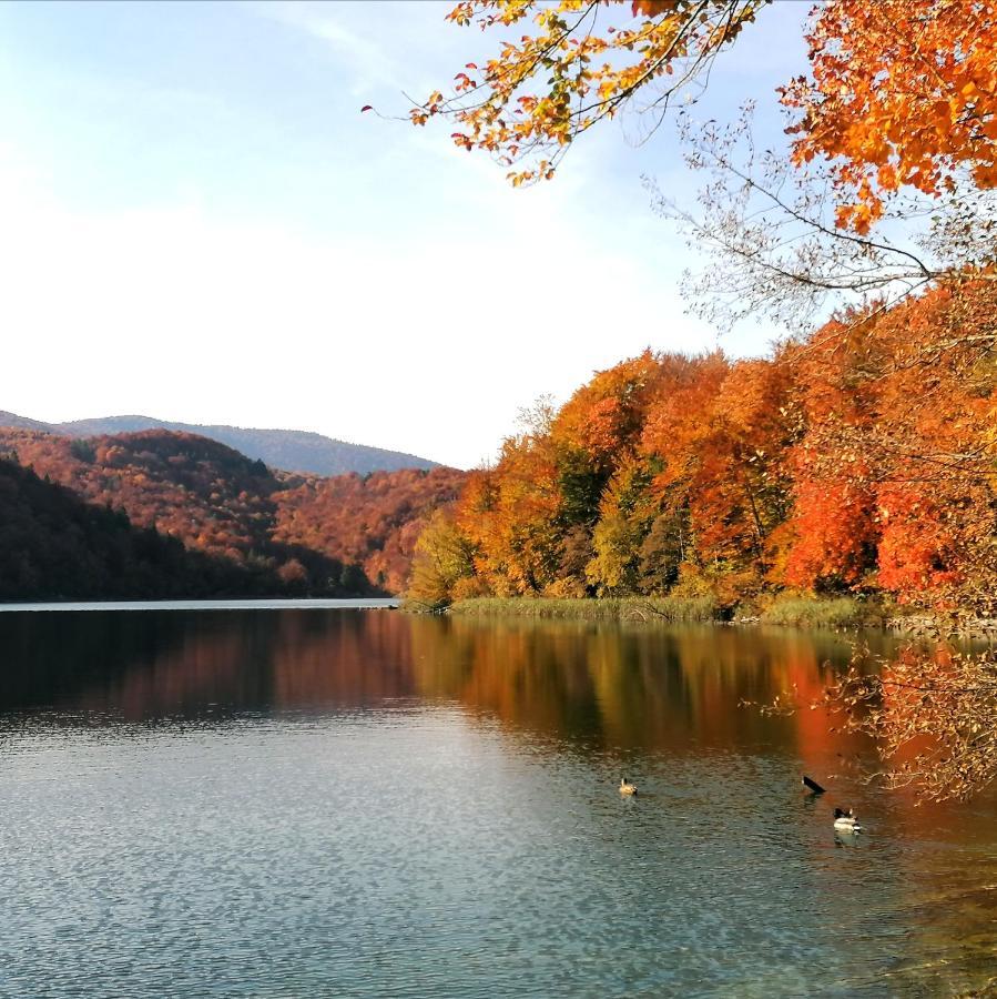 Plitvice Konak Daic Otel Plitvička Jezera Dış mekan fotoğraf